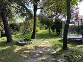 fotografia